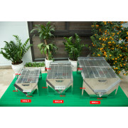 Bếp nướng than hoa BBQ